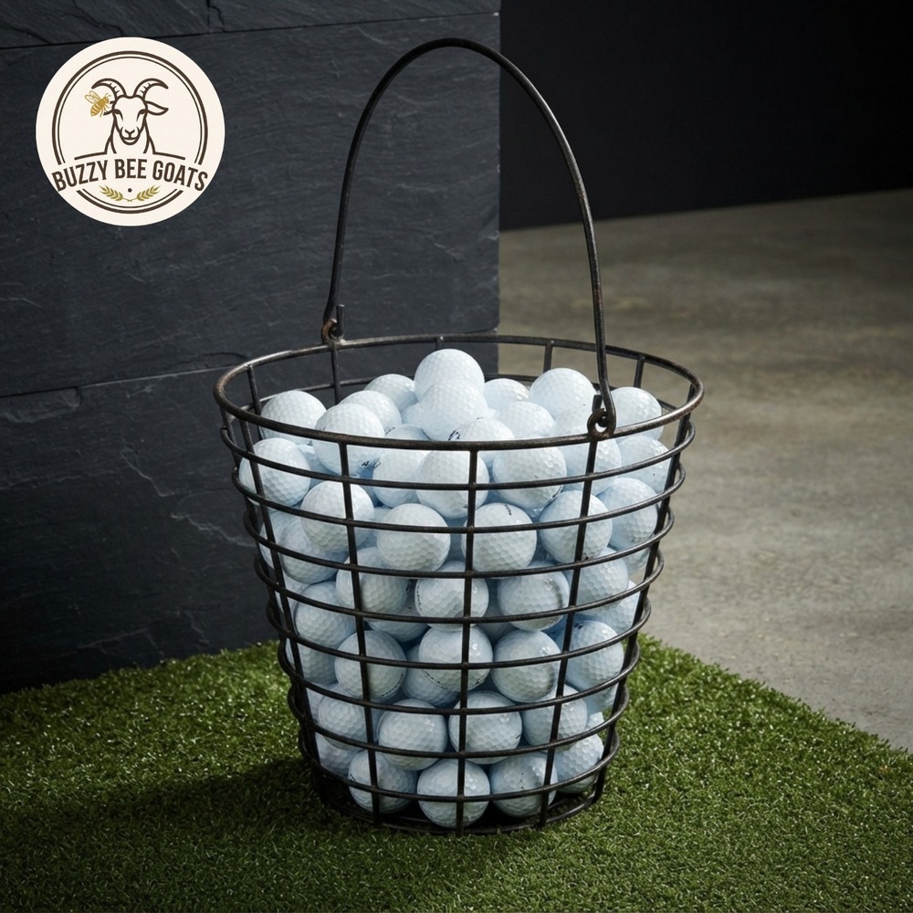 Vintage Style Metal Wire Golf Ball Storage Basket with Handle | Driving Range Ut